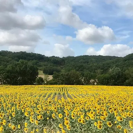 La Maison Des Hetres Vakantiehuis *